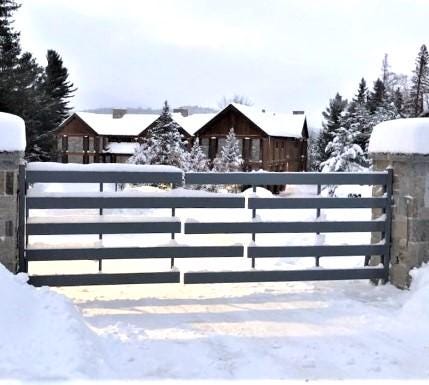Elegant Metal Driveway Gate _ Entry Swing Gate - GG-063